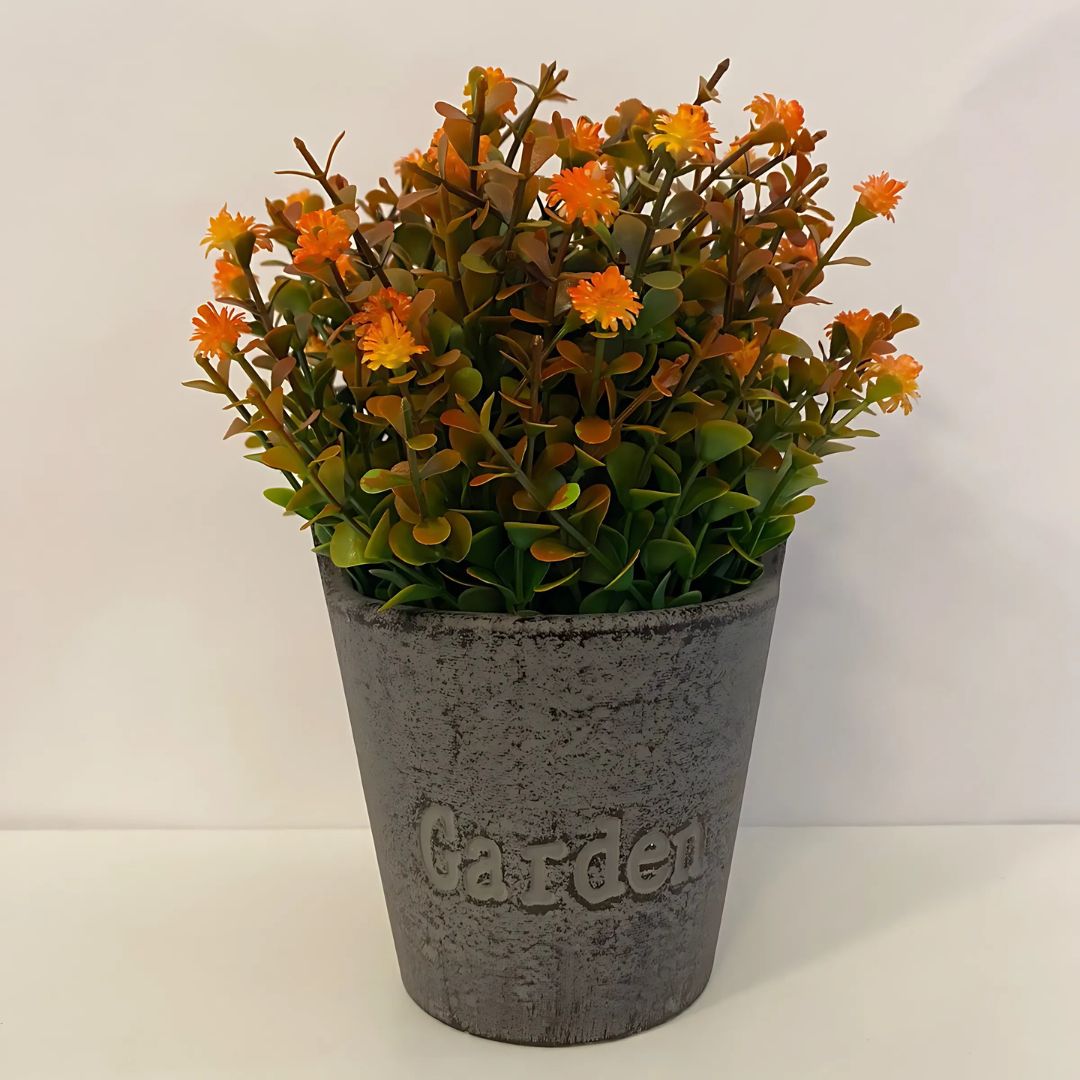 Cachepots