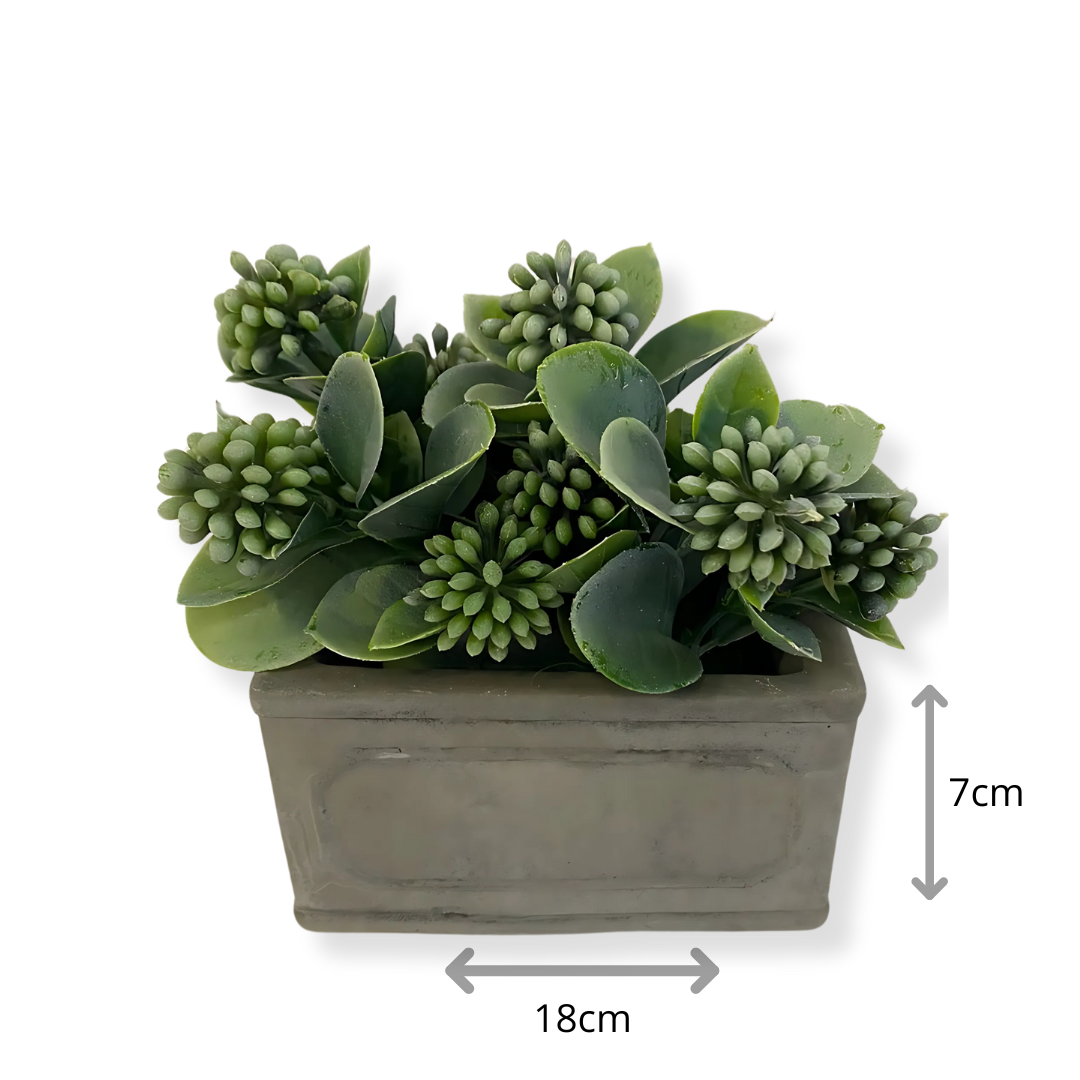 Vaso-Para-Plantas-Urban-Nature 3