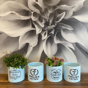Vaso de Cerâmica Decorativo Cachepot Sem Planta Fruitz [KIT 4 PEÇAS]