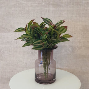 Vaso Decorativo de Vidro Vetro Lux 3