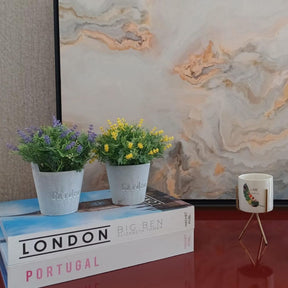 Vaso Para Plantas Elegance 27